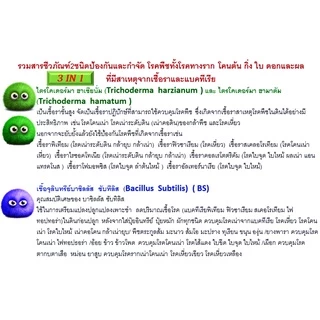 ไตรโคเดอร์มา + บีเอส +ฮอร์โมนพืชทางใบ เชื้อสดชนิดน้ำ เข้มข้น พร้อมใช้ ป้องกัน กำจัดโรคพืชและบำรุงฮอร์โมนพืชทางใบ