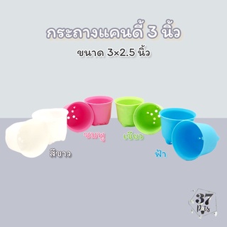 (หมด) 37POTS ส่งฟรี (12ใบ) กระถางแคนดี้ 3 นิ้ว