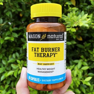 Fat Burner Therapy 60 Capsules (Mason Natural®) ช่วยลดน้ำหนัก