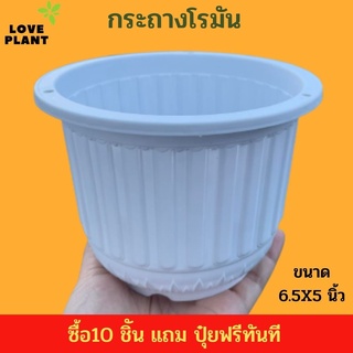 กระถางโรมัน กระถางพลาสติก กระถางต้นไม้ ขนาด6.5 นิ้ว พร้อมส่ง