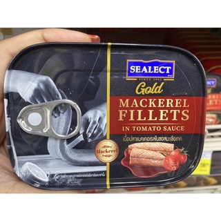 เนื้อปลาแมคเคอเรล ในซอสมะเขือเทศ ตรา ซีเล็ค โกลด์ Mackerel Fillets in Tomato Sauce ( Sealect Gold Brand )