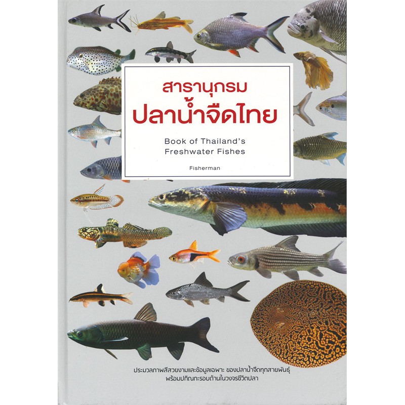 My Image 33