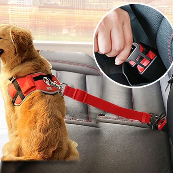 ZiNox Off OW Adjustable Dog Seat Belt Set,Cat Car Safe Seatbelt,Pet Leash Harness for Walking Dog Training Dog Leash+Collar 