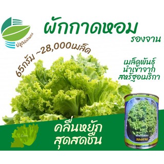 ผักกาดหอม 28,000 เมล็ด 65กรัม