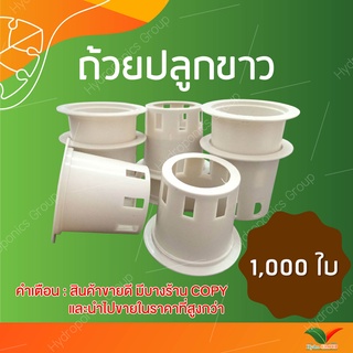 ถ้วยปลูกผักไฮโดรโปนิกส์ใช้ซ้ำ 1 ชุด จำนวน 1000  by hydroponicgroup