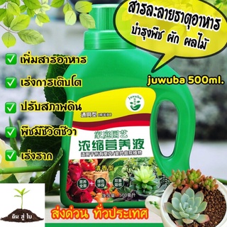 พร้อมส่ง สารละลายธาตุอาหารเข้มข้น ปุ๋ยน้ำ บำรุงพืชทุกชนิด บำรุงราก บำรุงต้น บำรุงใบ เร่งดอก 500ml.