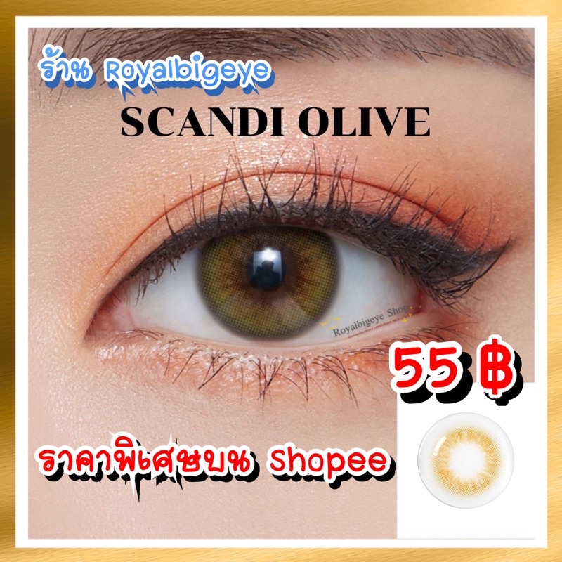 คอนแทคเลนส์ Scandi Olive - Gaezz Secret สีเขียวมะกอกขนาดมินิ มีสายตาถึง -10.00 - รูปที่ 7