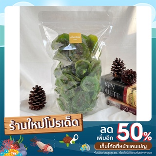 กีวี่อบแห้ง 500g./1kg. ครบรส ผลไม้อบแห้ง ขนม ของกินเล่น คีโต (Dehydrated Kiwi) 猕猴桃干