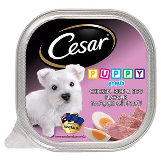 Cesar Wet Food For Puppy ซีซาร์ อาหารชนิดเปียกสำหรับลูกสุนัข รสไก่ ข้าวและไข่ 100 กรัม