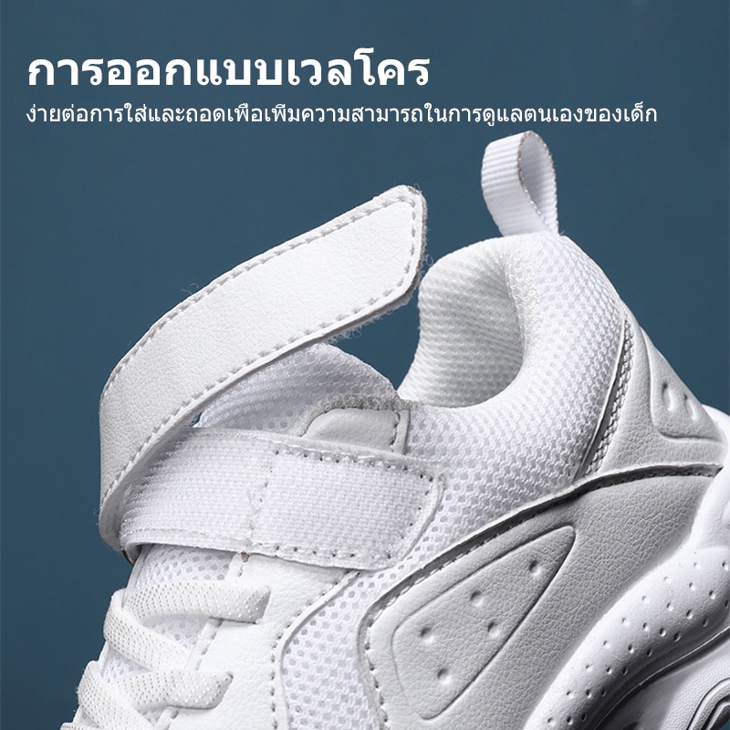 รูปภาพ 7