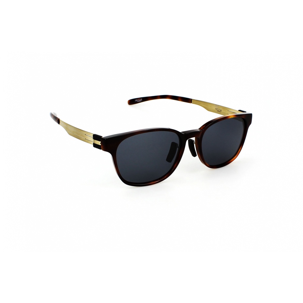 แว่นตา AROON SUN POLARIZED 81104S DM1 52
