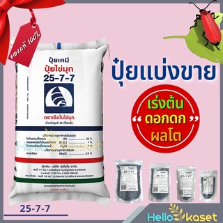 ปุ๋ยเคมี ปุ๋ยแบ่งขาย ปุ๋ยเม็ด ปุ๋ยสูตร 25 7 7 ตราเรือใบ  ปุ๋ยเร่งต้น เร่งใบ ใส่ผัก ผลไม้ ไม้ดอก ไม้ประดับ