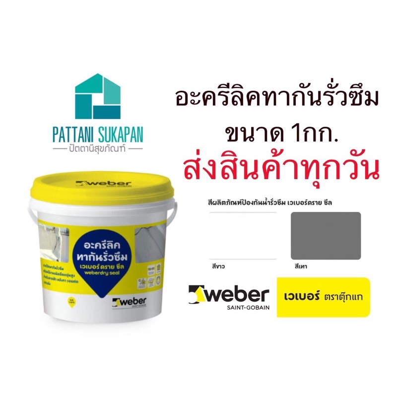 Weber เวเบอร์ดรายซีล 1กก. อะคริลิคทากันรั่วซึม