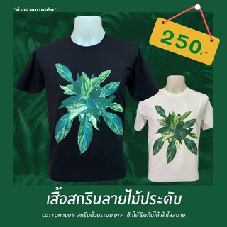 เสื้อลาย ต้น ก้ามกุ้งด่าง เสื้อยืดลายไม้ประดับ ดำ ขาว พร้อมส่ง