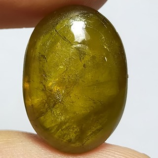 พลอย หลังเบี้ย สฟีน ธรรมชาติ แท้ ดิบ ( Natural Sphene Titanite ) หนัก 12.58 กะรัต