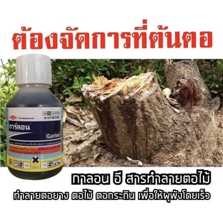 การ์ลอนกำจัดตอ กาลอน 100 ซีซี สารกำจัดตอและรากไม้ ยาฆ่าตอไม้กาลอน ทำลายตอไม้ จำกัดตอไม้ ป้ายตอไม้ กำจัดราก การ์ลอน 4อี