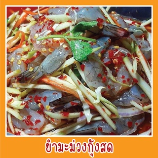 สติ๊กเกอร์ ภาพ ยำมะม่วงกุ้งสด รูปอาหาร ขนาด 20x20 ซม. เมนูอาหาร ตามสั่ง menu สีสดใส เสมืินจริง ดูน่าทาน กันน้ำ