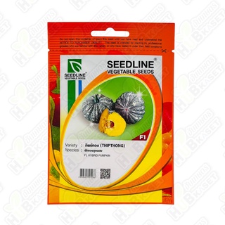 🌱 ซีดไลน์ 🇹🇭 ฟักทองลูกผสม ทิพย์ทอง ขนาดบรรจุประมาณ 20 เมล็ด อายุเก็บเกี่ยว 70-75 วัน