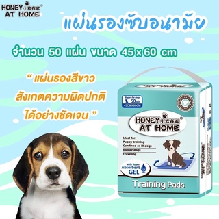 แผ่นรองซับสำหรับสุนัขและแมว by Honey At Home ไซส์ M