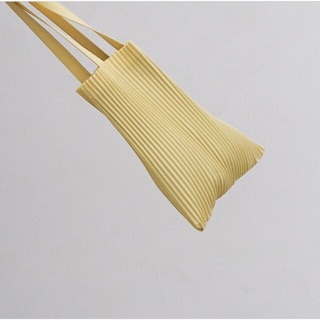 Apalepetal pleat bag