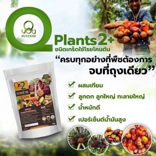 Q Plans 2+ ปุ๋ยบำรุงต้นไม้สูตร 2 ทุเรียน ปาล์ม ยางพารา เพิ่มผลผลิตและคุณภาพของผลผลิต