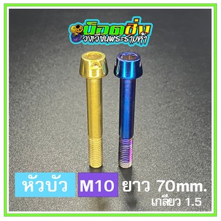 น็อตสแตนเลส หัวบัว ขนาดเกลียว m10 ยาว 70 mm.เกลียวหยาบ