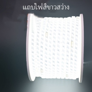 🌸ไฟ led แบบเส้น,บ้าน,กลางแจ้ง,กันน้ำ,สดใสสุดๆ,แถบแสงสีขาว,กลางแจ้ง,ไฟ led แบบเส้น 220v,ไฟ led ติดผนังห้อง,ไฟแต่งห้อง