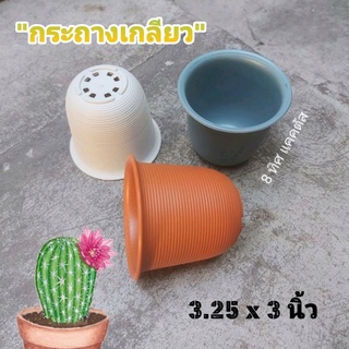 กระถาง จัมโบ เกลียว 3.5 นิ้ว (3.25 นิ้ว) //กด 100 ใบ 550 บาท --กระถางพลาสติก กระถางแคคตัส กระบองเพชร