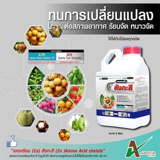 สังกะสี เอเจนต้า  ป้องกันอาการใบแก้ว ใบลาย กระตุ้นการแตกตา (ขนาด 5 ลิตร)