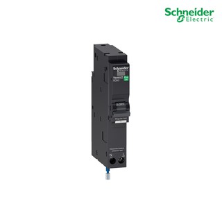 Schneider Electric - RCBO เซอร์กิตเบรกเกอร์ ลูกย่อยชนิด 16 แอมป์ 1 โพล 6kA_QO116C06RCBO30 ที่ร้าน PlugOn