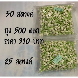 ดอกมะลิ มะลิทิชชู่ ถุง 500 ดอก พร้อมส่ง