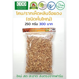 เห็ดหลินจือแดง G2 อบแห้ง (โคนหรือรากชิ้นเล็ก) ส่งตรงจากฟาร์ม