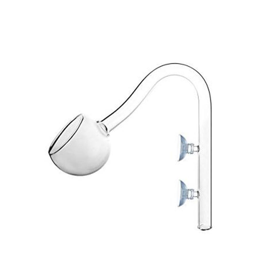 Lily Violet Pipe Outflow Clear Glass for Planted Aquarium Fish Tank