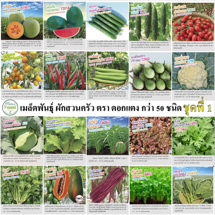 เมล็ดพันธุ์ เมล็ดผัก ชุดที่ 1 ตราดอกแตง - เพื่อนเกษตรกร ผักสวนครัว เมล็ดผักซอง ผักซอง คุณภาพดี