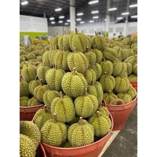 อีทีฟอน 52% ( 100 ซีซี ) เร่งการสุกของผลไม้ ทุเรียน มะม่วง ใช้เร่งการออกดอกในสับปะรด