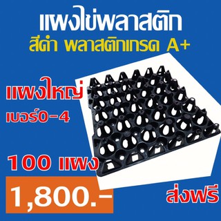 ถาดไข่ แผงไข่ พลาสติกสีดำ แผงใหญ่ 100แผง เหนียว ทนทาน แข็งแรง