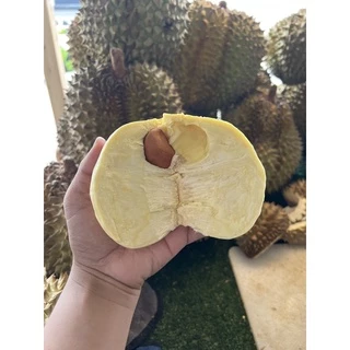 ทุเรียนจันทบุรีเนื้อพรีเมียม ยอดขายเยอะที่สุดทุเรียนหมอนทอง คัดเนื้อเทพไม่เน้นทรง เนื้อเหลือง เนื้อตลาดที่คนไทยกิน