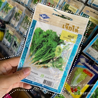 เมล็ดพันธุ์ ผักชี (Coriander)