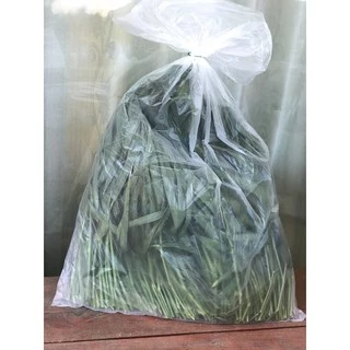 ส่งฟรี.ยอดหญ้าขนสด อินทรีย์ สำหรับหนูแกสบี้ & กระต่าย ตัดสดส่งทุกวัน 1 กก.