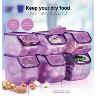 Tupperware กล่องเก็บกระเทียมระบายอากาศ Garlic N All Keeper