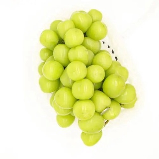 Spot seeds 5PCS GREEN GRAPE SEEDS - FRUIT SEEDS - GARDEN SEEDSบ้านและสวน/กระโปรง/ผักชี/กางเกง/สร้อยข้อมือ/กุหลาบ/แม่และเ