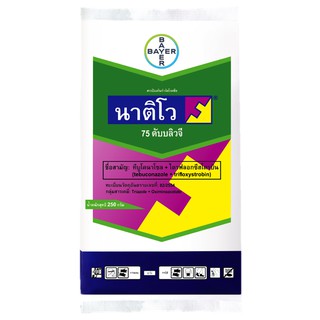 นาติโว 75 ดับบลิวจี (Nativo® 75 WG) ขนาด 250 กรัม โรคไหม้ เมล็ดด่าง ราแป้ง แอนแทรคโนส ทีบูโคนาโซล +ไตรฟลอกซีสโตรบิน