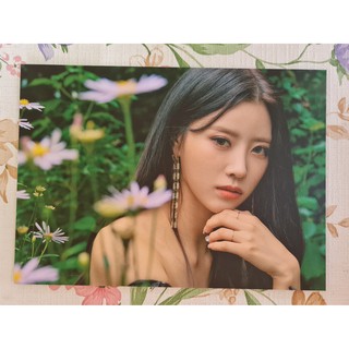 [แท้/พร้อมส่ง] โปสการ์ด มิจู Mijoo คอนเสิร์ต Lovelyz ONTACT Concert Deep Forest Postcard