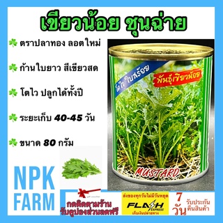 ผักกาดเขียว ชุนฉ่าย เขียวน้อย ขนาด 80 กรัม เมล็ดพันธุ์ ลอตใหม่ ต้นใหญ่ ก้านใบยาว เต็ม ใบสีเขียวสด ไม่แตกแขนง น้ำหนักดี