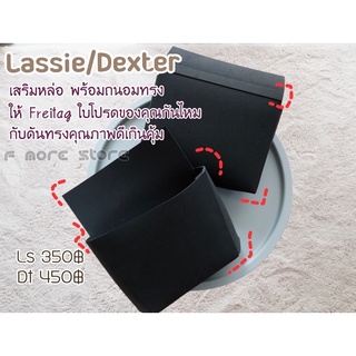 ดันทรง Freitag รุ่น Lassie และ Dexter