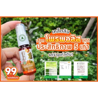 Propoliz 20ML รอยัลบี แมกซี่ โพรพอลิส เม้าท์ สเปรย์ Royal bee Maxi Propolis mouth spray 20 ml