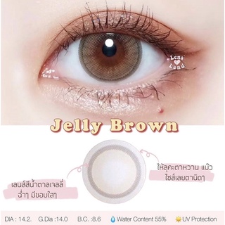 คอนแทคเลนส์รายเดือน รุ่น Jelly Brown bylensland