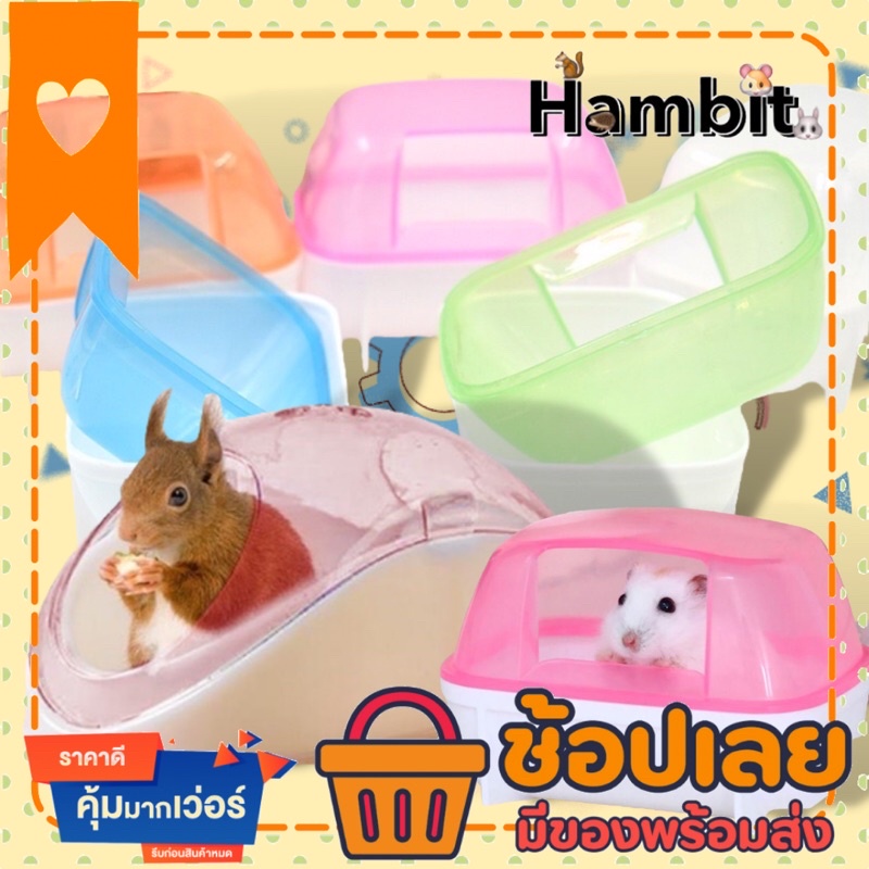 Hambit. ห้องอาบน้ำหนูแฮมสเตอร์ ห้องน้ำหนู ห้องน้ำกระรอก ห้องน้ำเม่นแคระ กล่องใส่ทรายอาบน้ำ