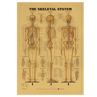 โปสเตอร์กระดาษคราฟท์รูปโครงกระดูกสไตล์วินเทจสําหรับตกแต่งผนัง