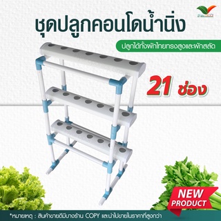 ชุดปลูกคอนโด ระบบน้ำนิ่ง 21 ช่อง by hydroponicgroup